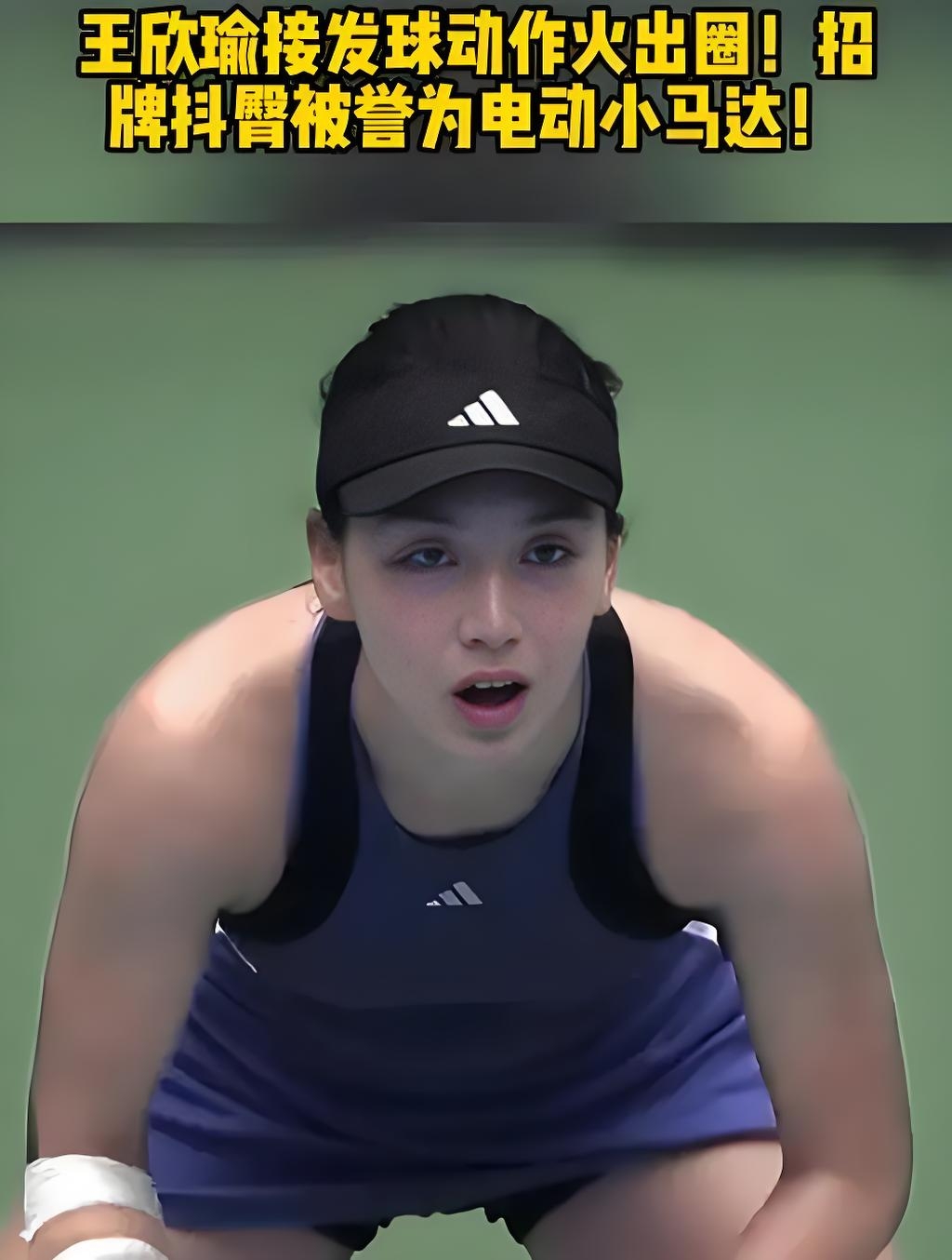 若今日灰熊 若今日灰熊